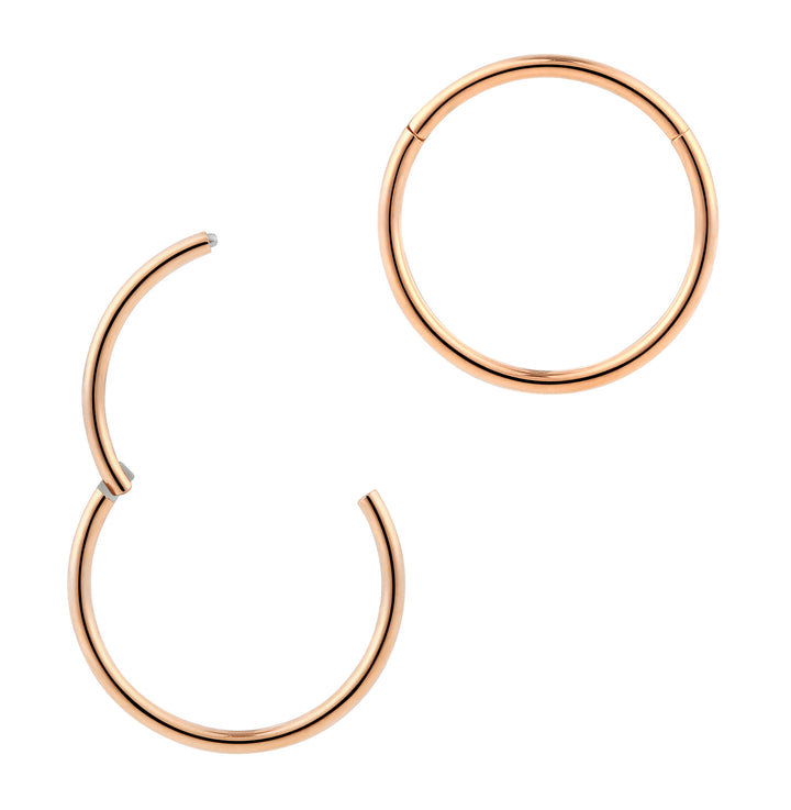 1 Piece 20G (thinnest) Stainless Steel Polished Hinged Hoop Segment Nose Ring Earring 6mm – 10mm