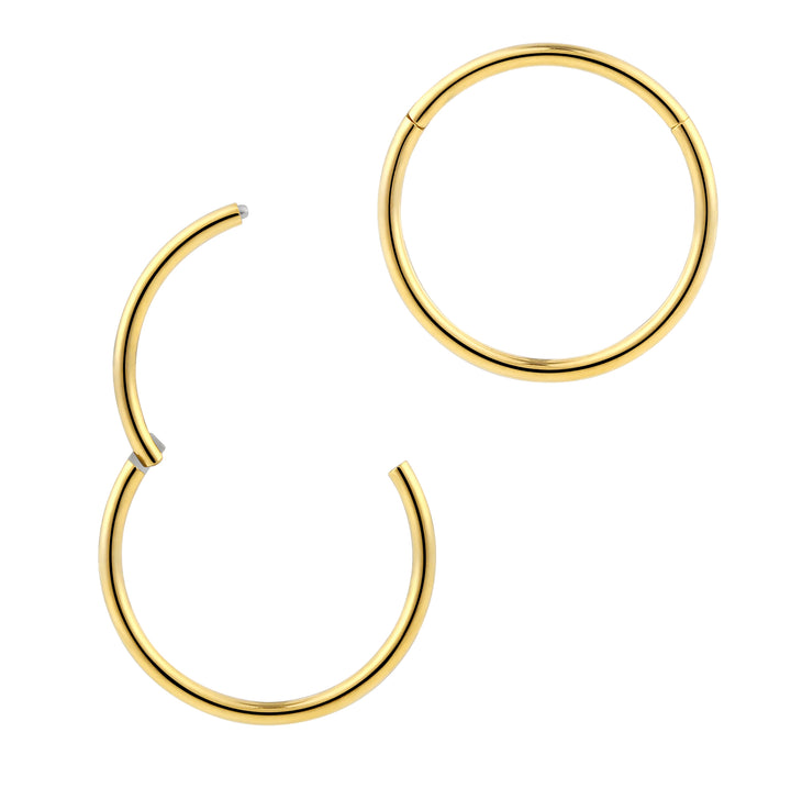 1 Piece 20G (thinnest) Stainless Steel Polished Hinged Hoop Segment Nose Ring Earring 6mm – 10mm